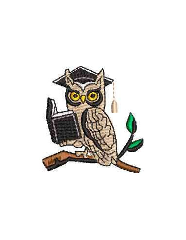 Owl knowledge