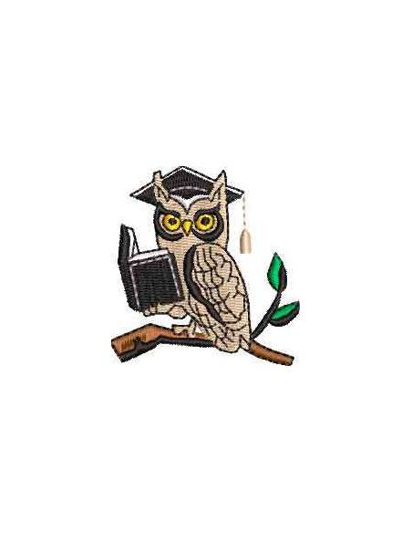 Owl knowledge