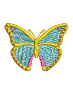  Colorful butterfly