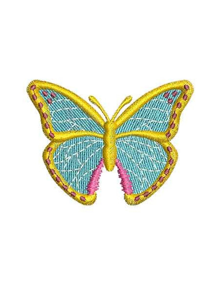 Colorful butterfly 