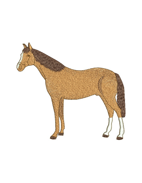 Horse 