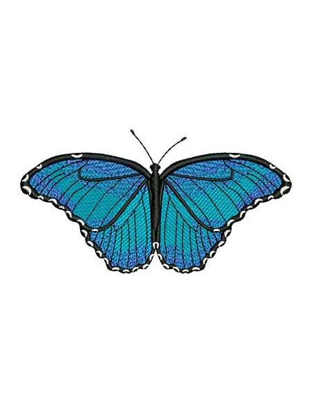 Blue butterfly 