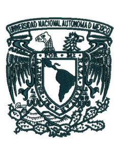 National Autonomous University of Mexico Embroidery Design